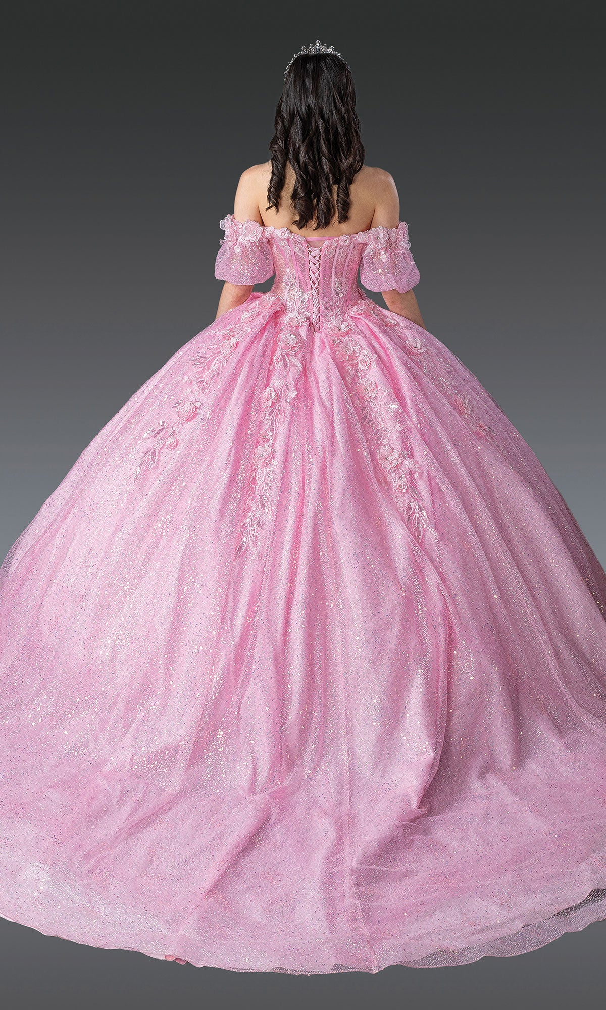 Woman in a Pink Quinceanera Dress 1991 By Dancing Queen, featuring an off-the-shoulder, floor-length ball gown skirt with floral embroidery and a tiara, shown from the back against a plain background.