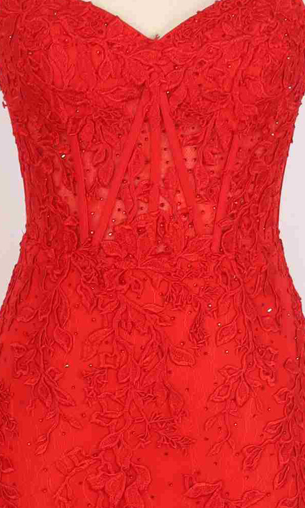 Close-up of the PromGirl Exclusive 250272 long red prom dress, showcasing intricate floral lace embroidery and a fitted corset bodice with sheer detailing.