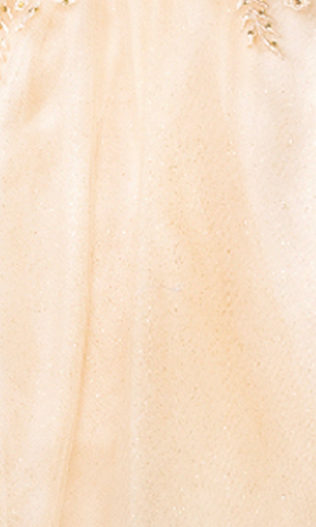 Close-up of the Dancing Queen 3365 short homecoming dress, featuring cream-colored sheer fabric with a subtle sparkle reminiscent of glitter tulle and faint embroidery detailing near the top edge.