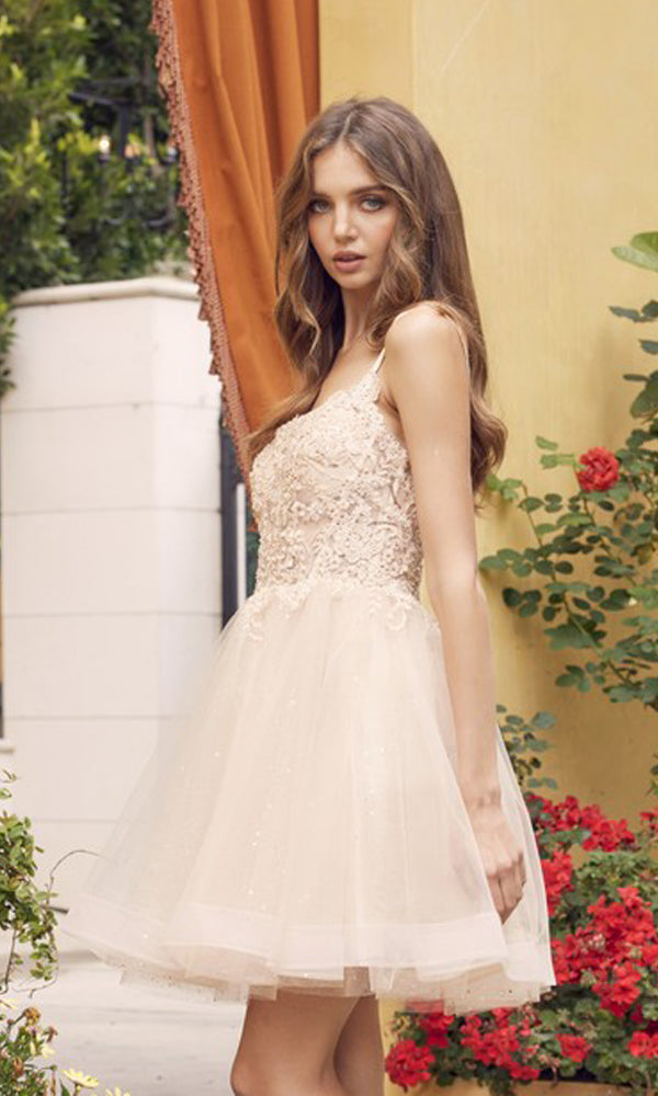 A young woman stands outdoors amid greenery and red flowers, wearing the Sheer-Bodice Short A-Line Prom Dress 883—a light pink, sleeveless dress with a lace and tulle skirt and a corset-style bodice.
