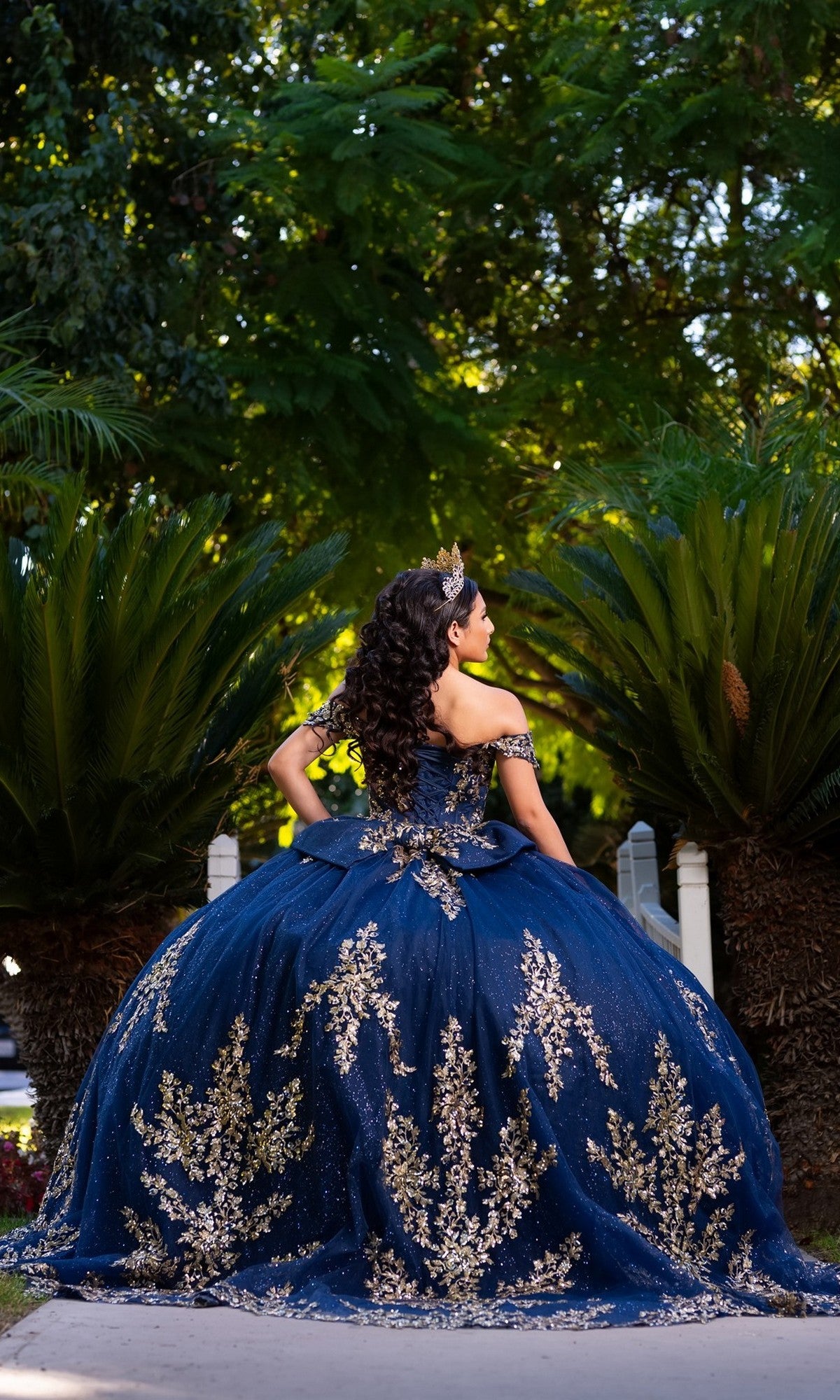 A woman stands outdoors with her back to the camera, surrounded by trees and greenery, wearing the Quinceanera Dress CHF3134 By Chicas—a navy blue gown adorned with intricate gold embroidery.