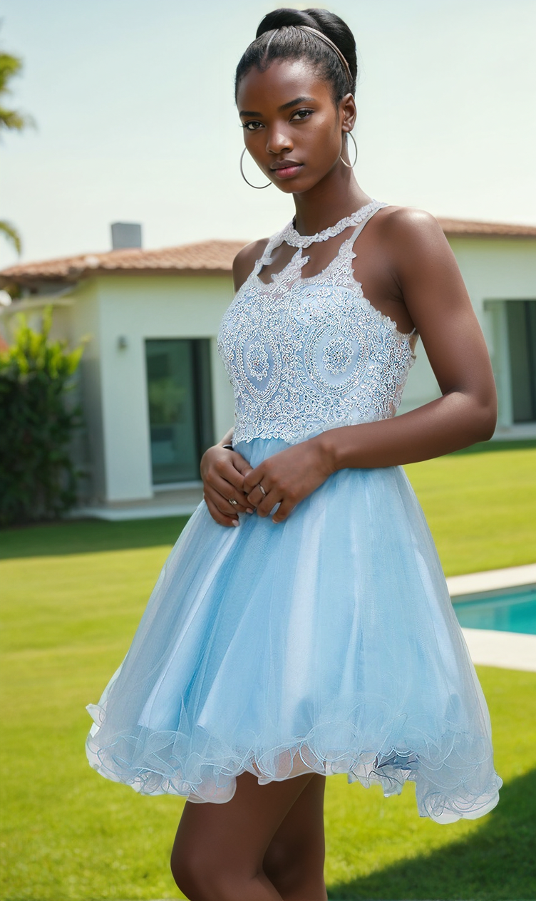 Dancing Queen-Beaded Embroidered Lace Short Babydoll Party Dress