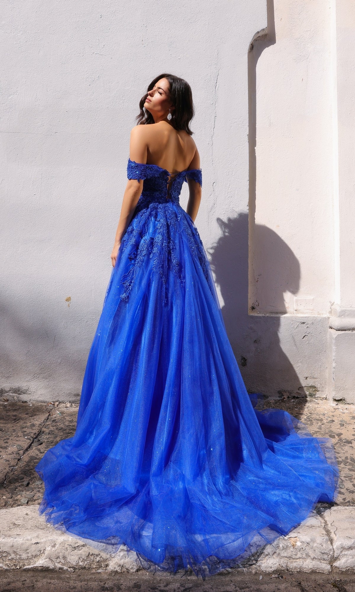 A woman stands outdoors facing away, wearing the Off-the-Shoulder Long Tulle Prom Ball Gown R1303—an elegant royal blue, floor-length dress with a full tulle skirt and embroidered lace detailing.