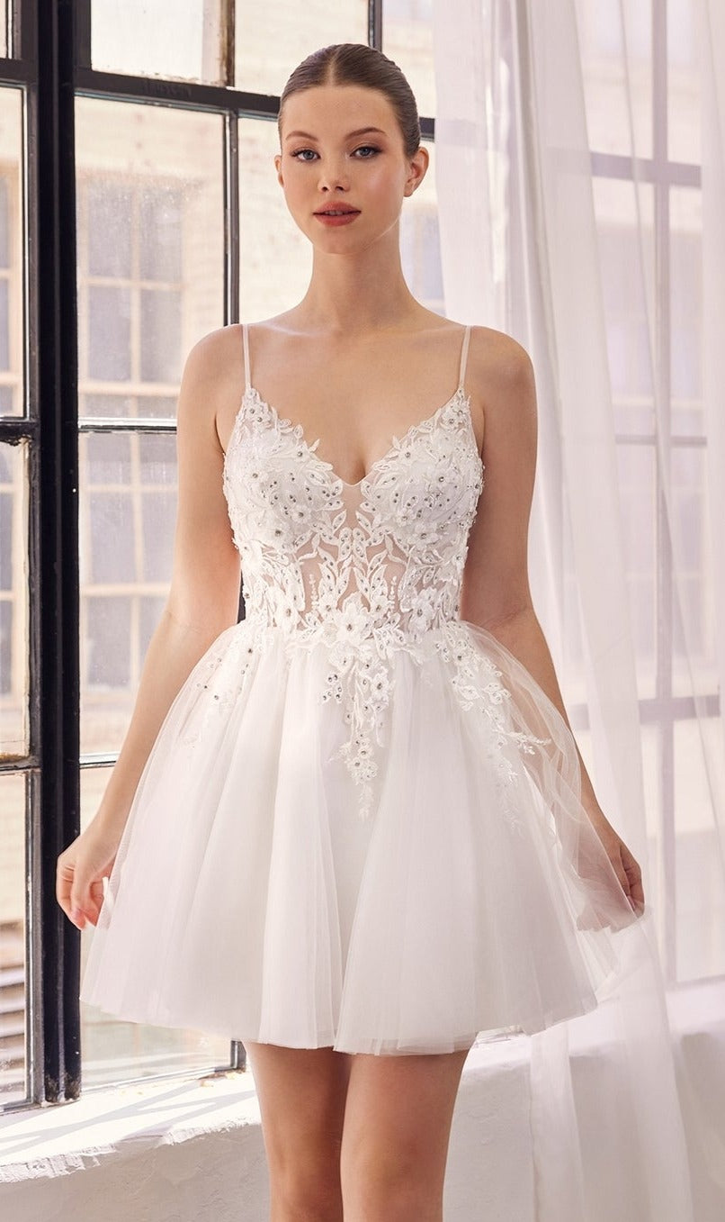 A woman stands indoors in front of sheer-curtained windows, wearing the Short Babydoll Homecoming Dress: CLSF047, featuring an embroidered lace bodice and a tulle skirt.