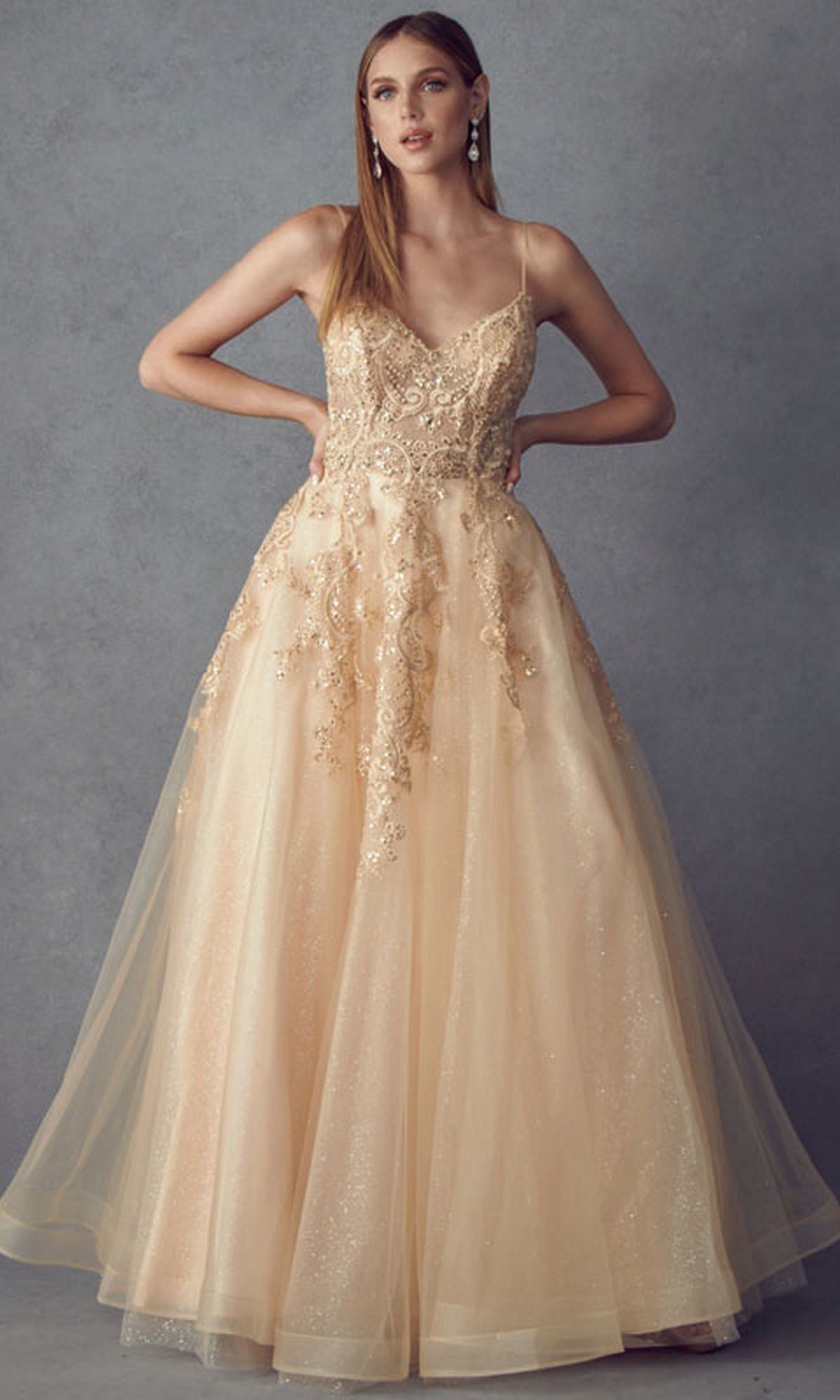 A woman models the Embroidered Glitter-Tulle Long Prom Ball Gown 251, a floor-length sleeveless dress with floral embroidery and a tulle skirt, standing against a plain gray background.