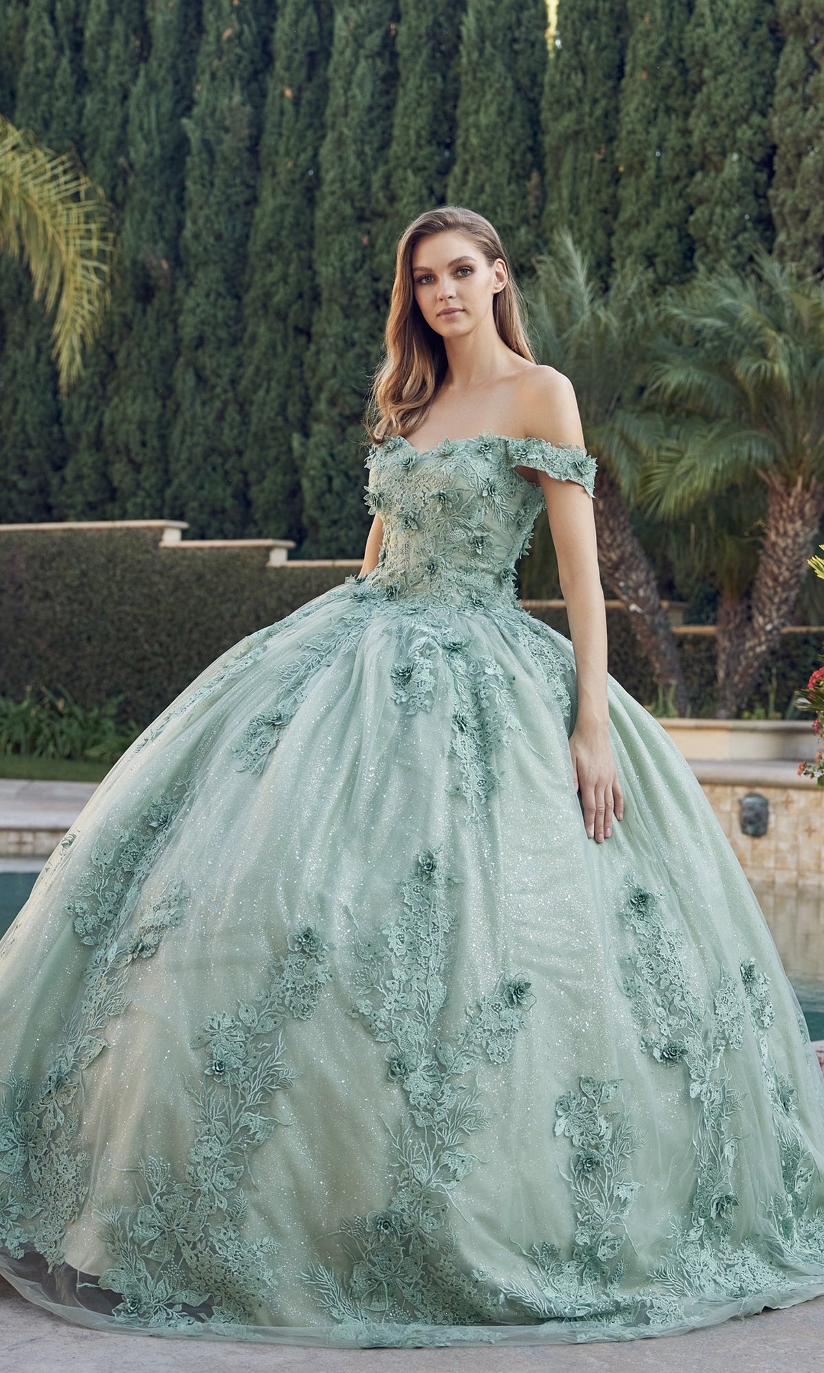 Green Blue Prom Ball Gown Lace Long Sleeves Quinceanera Dresses E3026 -  China Evening Dresses and Cocktail Dress price | Made-in-China.com