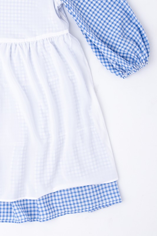 Short Gingham Print Tiered Casual Dress FGDR31L009
