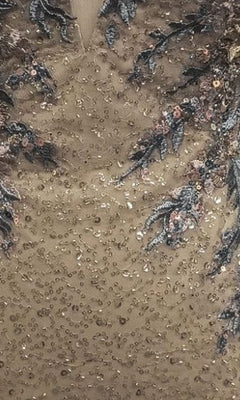 Close-up of Short Homecoming Dress: 12437, showcasing beige fabric decorated with sequins, beads, and dark blue and pink floral embroidery.