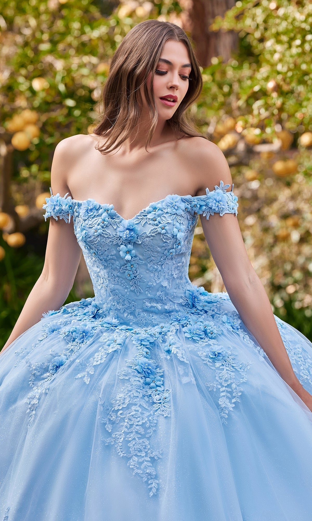 Off-Shoulder Ball Gown Quinceanera Dress