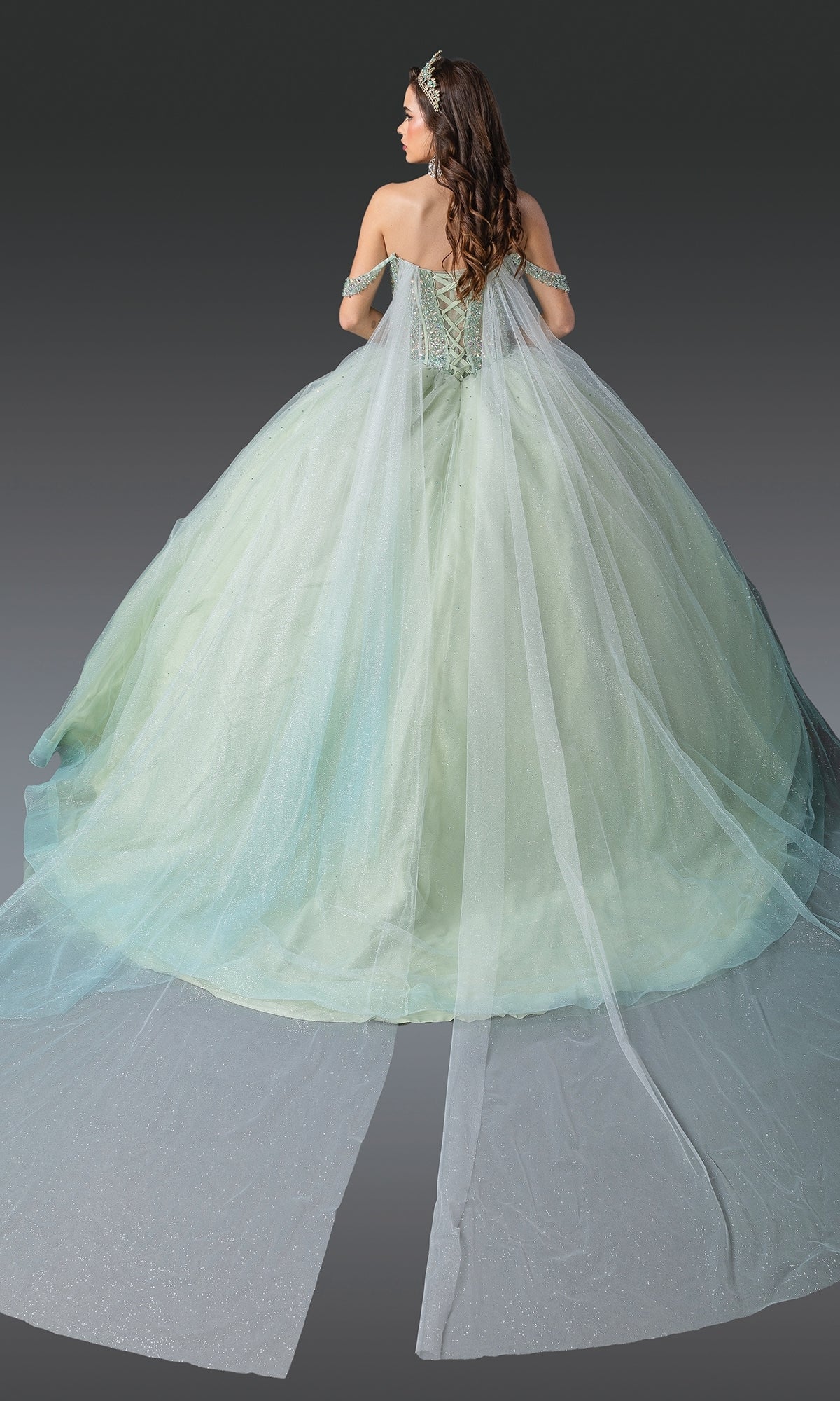 Dancing Queen 1950 Long Quinceanera Dress Mint / 2XLarge