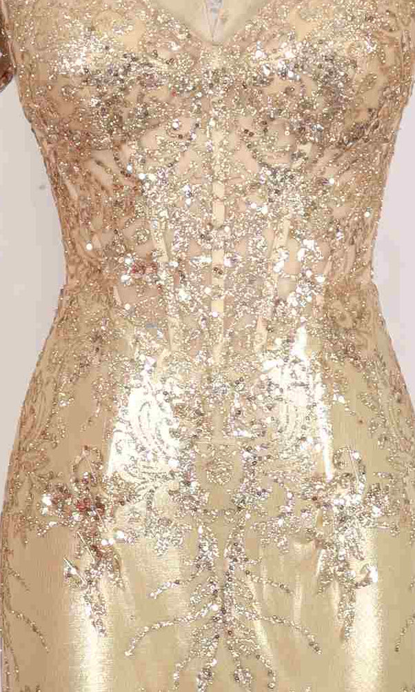 Close-up of the PromGirl Exclusive 250250 long prom dress, showcasing gold glitter print with intricate floral sequin and bead embellishments on sheer fabric.