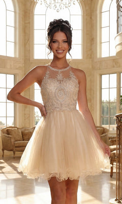 A woman smiles at the camera in a bright, elegant room, wearing the Beaded Embroidered Lace Short Babydoll Party Dress with a detailed embroidered bodice and a flared tulle skirt.