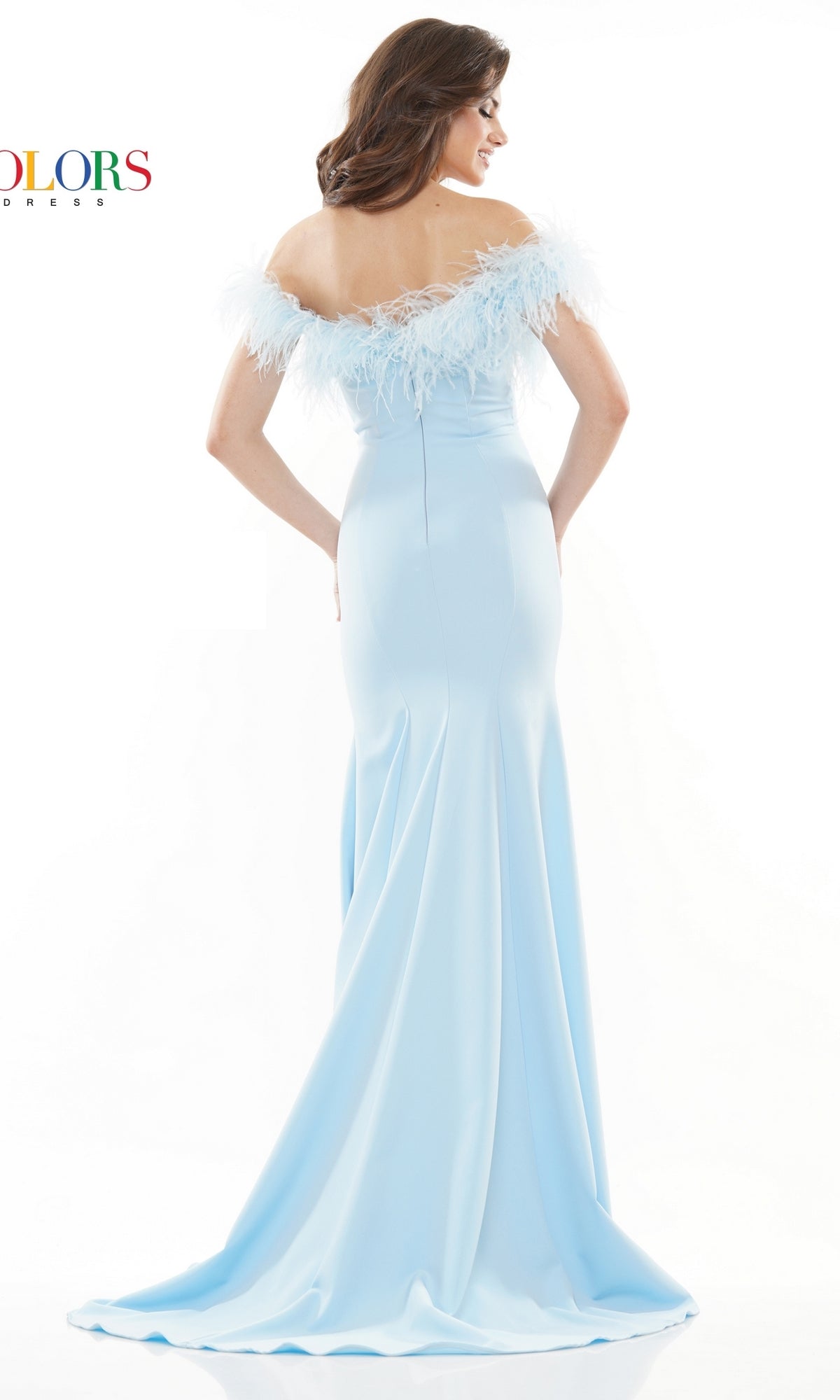 Off-the-Shoulder Feathered Long Prom Dress 2663