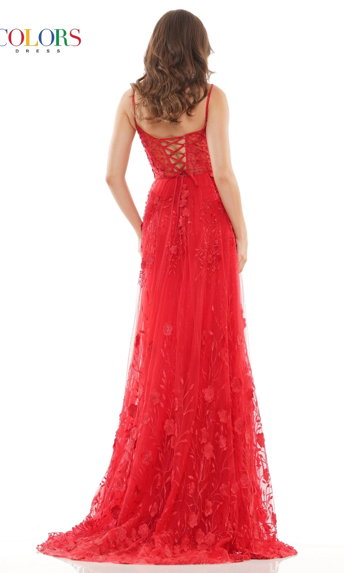 Long Embroidered-Tulle A-Line Prom Dress 2726