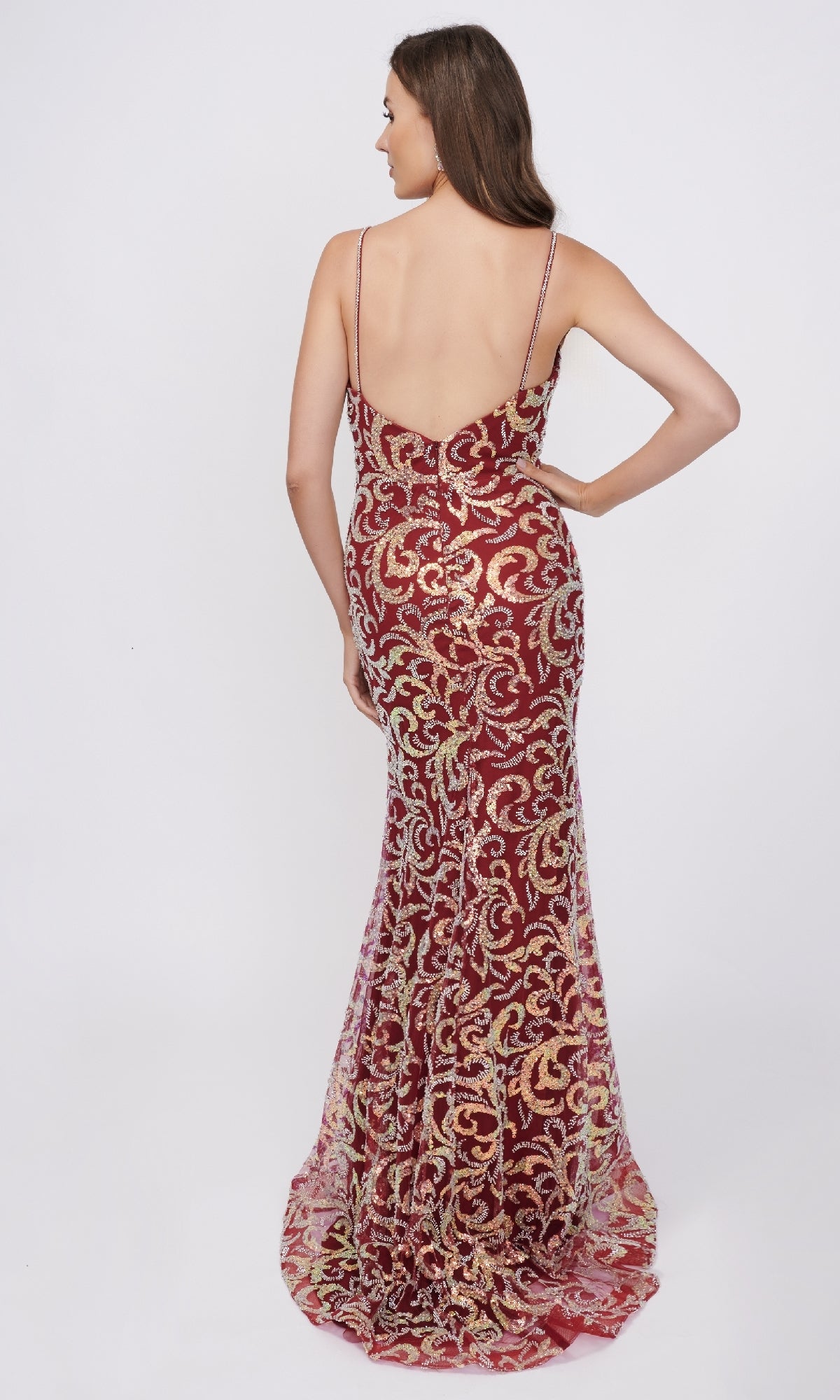 Long Formal Dress: Nina Canacci 3256