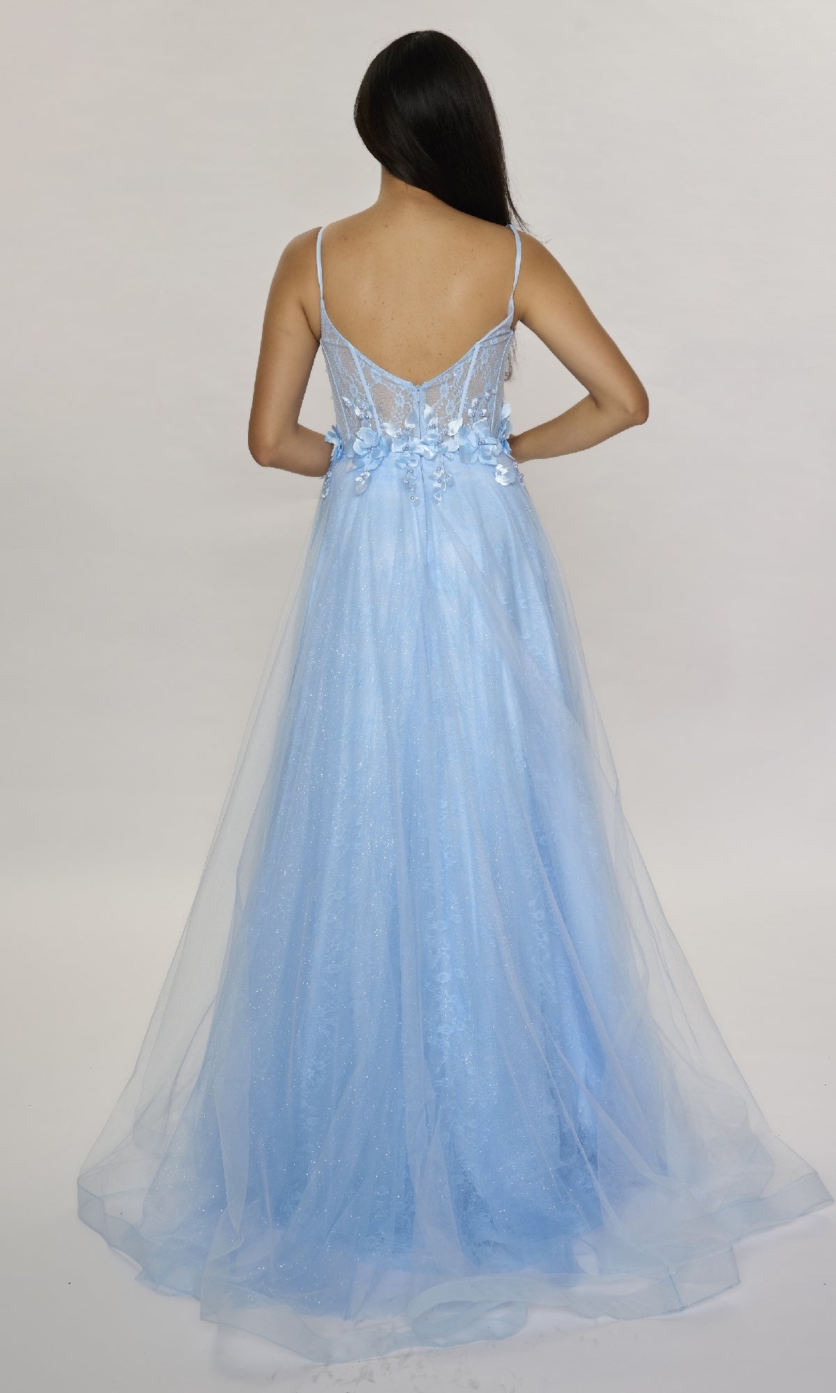 A woman with long dark hair is seen from the back wearing the Nina Canacci 3268, a light blue, floor-length A-line formal dress with a sheer overlay and delicate 3D floral appliques, set against a plain light background.