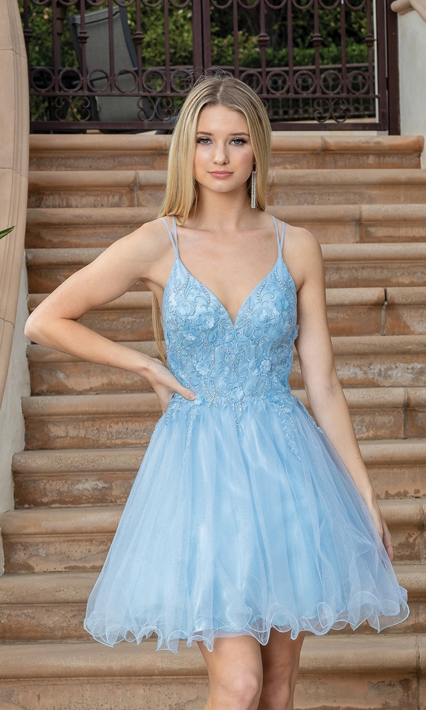 Embroidered Sheer-Bodice Short Hoco Dress