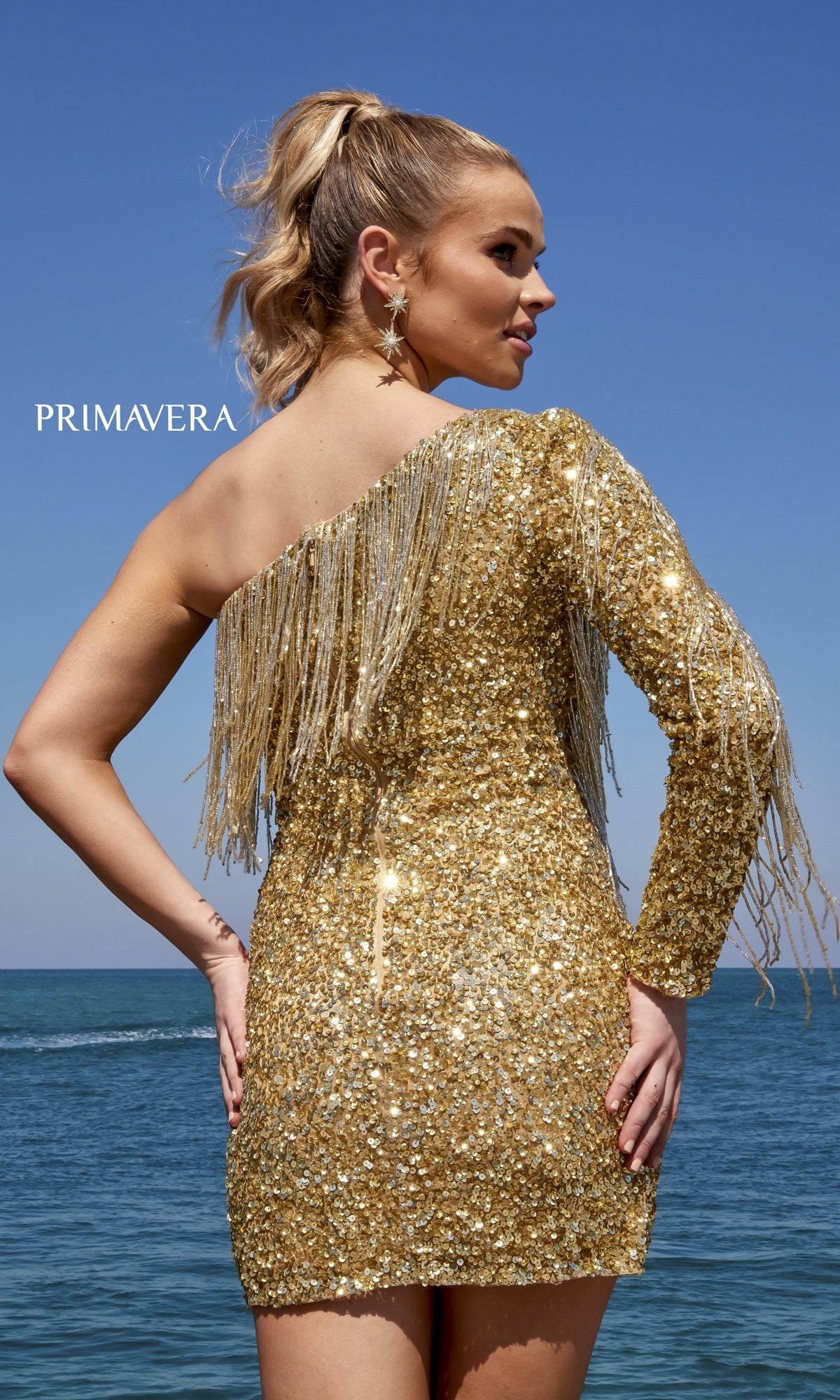 One Long-Sleeve Fringed Sequin Party Dress 4003