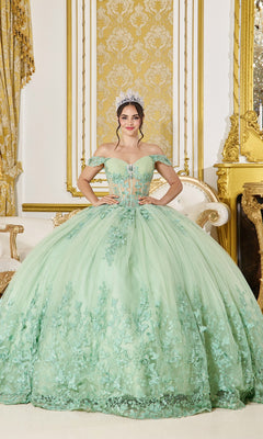 A young woman stands in an ornate room, wearing the Sage Green Quinceanera Dress 5065 by Dancing Queen with floral embroidery and 3D butterfly appliqué, complemented by a sparkling tiara.