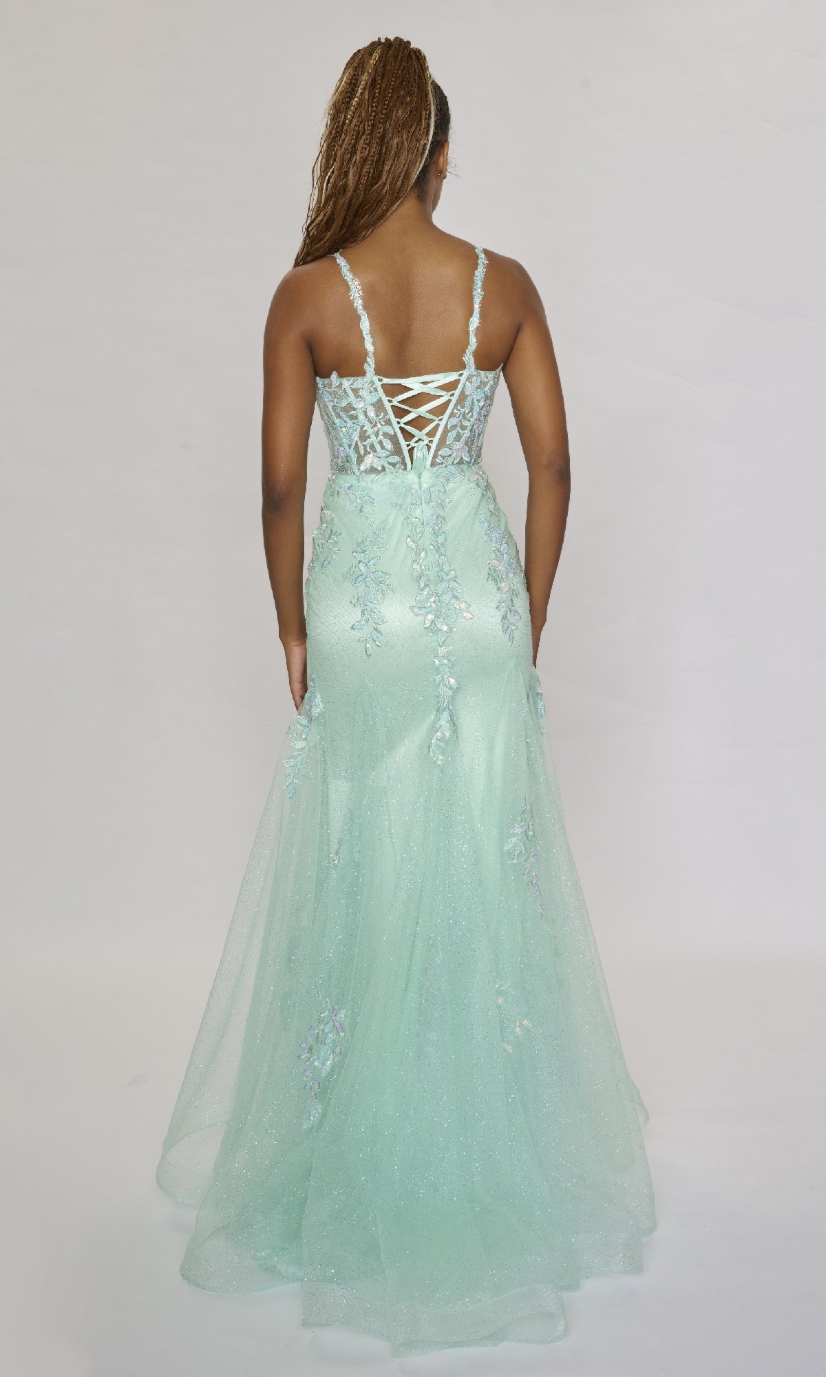 Long Formal Dress: Nina Canacci 6627