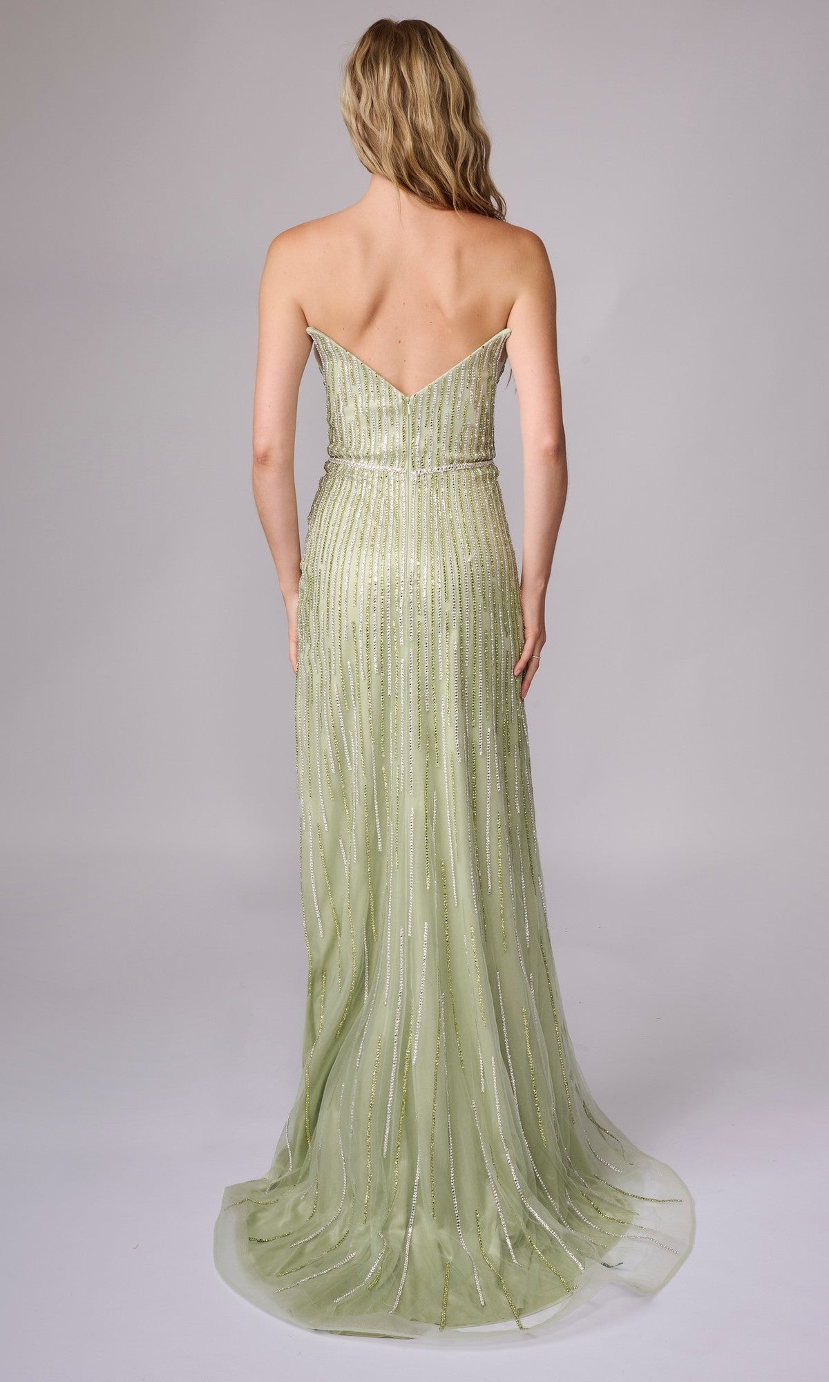 A woman with long blonde hair stands with her back to the camera, wearing the Nina Canacci 6723 long formal dress in light green, which features a strapless design and vertical linear beading.
