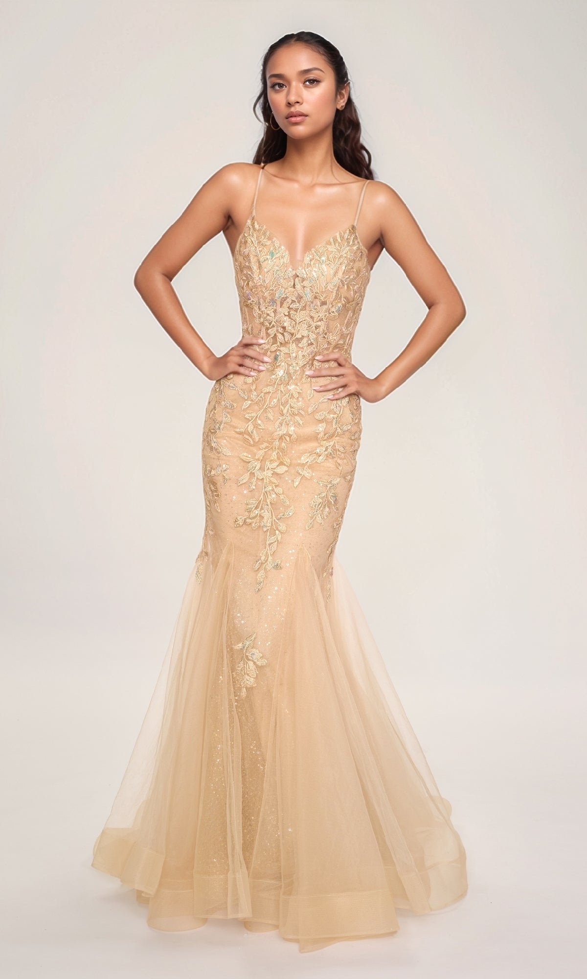 Long Formal Dress: Nina Canacci 7602