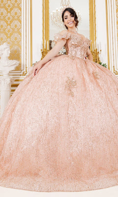 A young woman stands in an ornate room wearing the Quinceanera Ball Gown 8120J, a sparkling blush dress with floral accents, off-the-shoulder sleeves, and a delicate butterfly back detail.