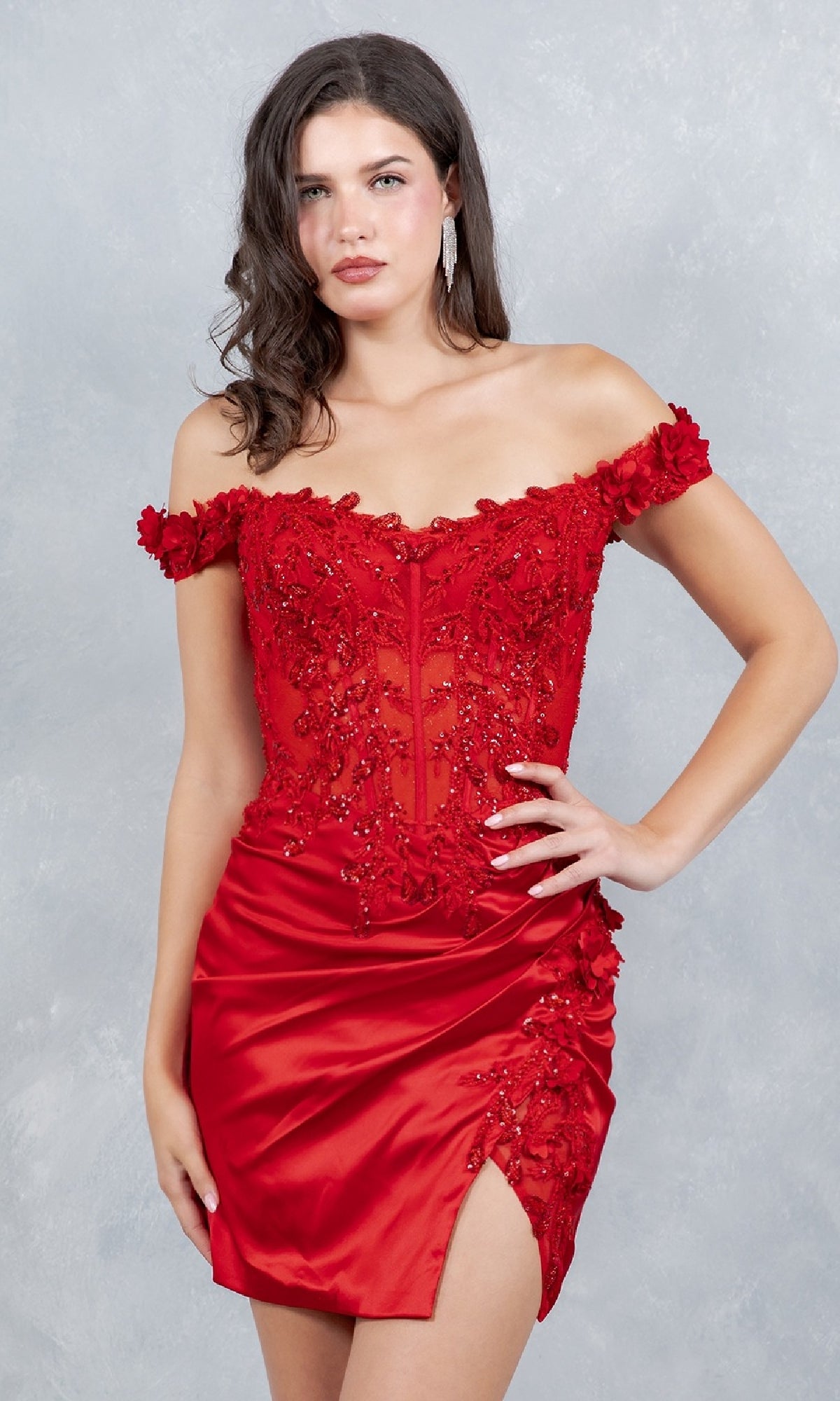 Short Homecoming Dress with Embroidered Sheer Corset Red / Large Short Homecoming Dress with Embroidered Sheer Corset Red / Large
