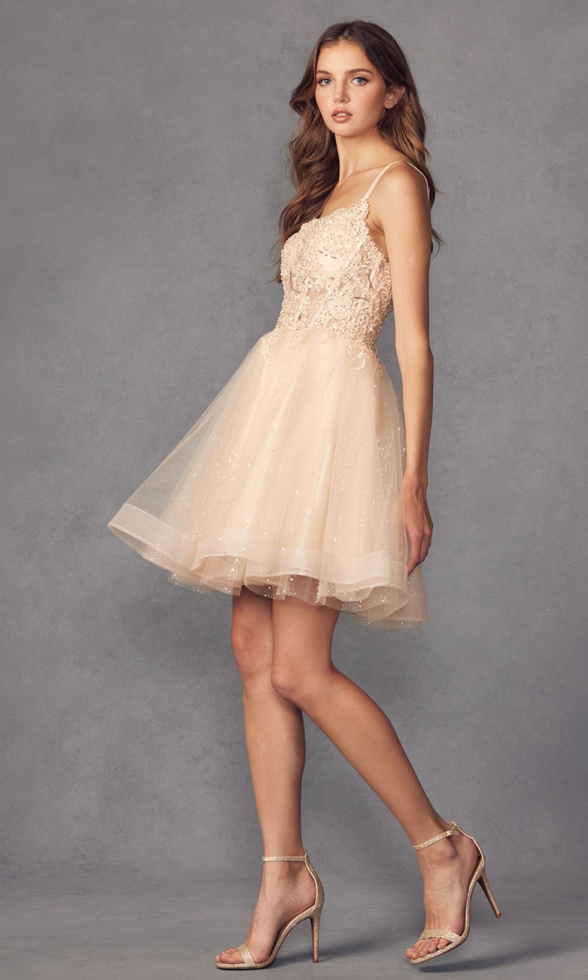 Short A-Line Prom Dress with Sheer Bodice