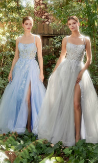 Butterfly Sheer-Bodice Prom Ball Gown A1141