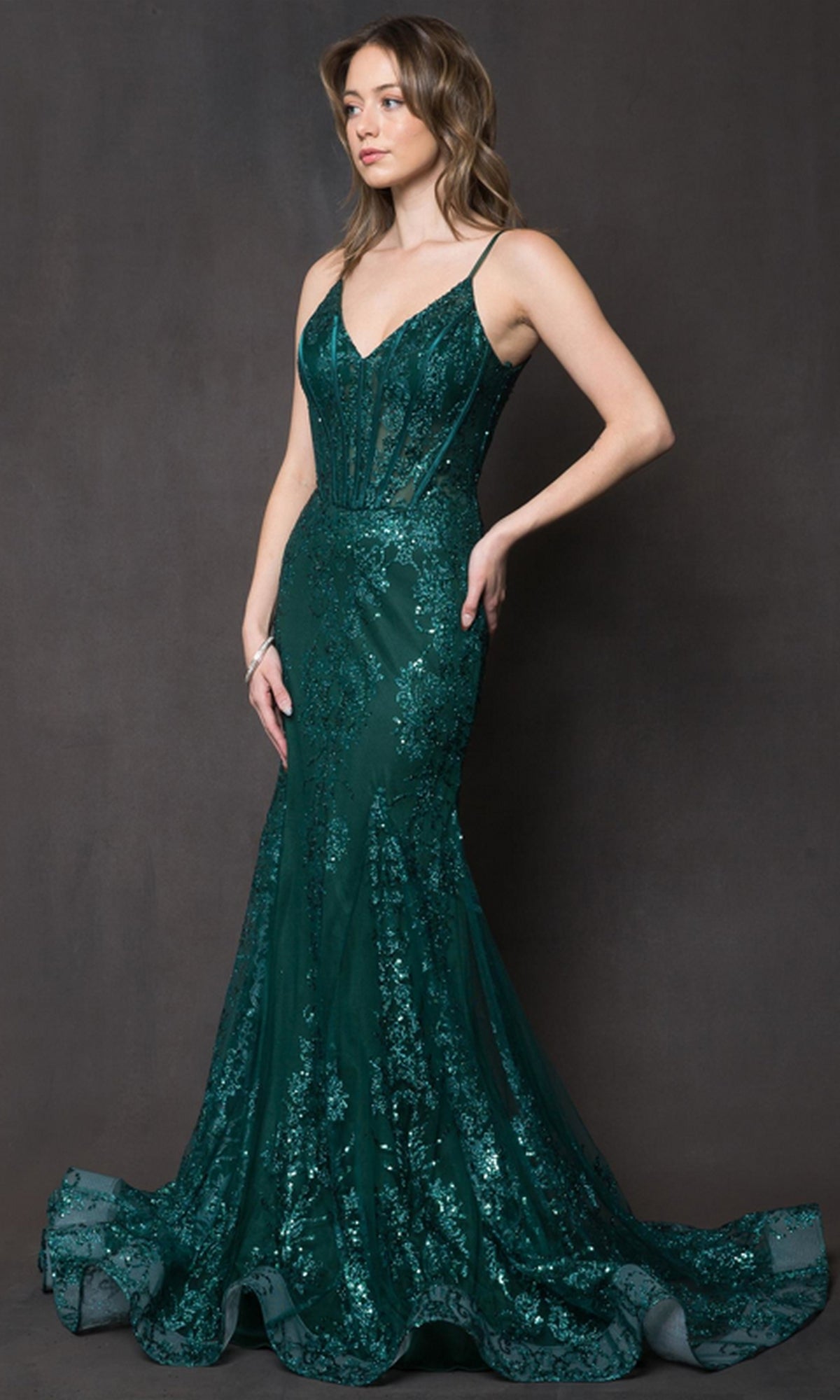 Sheer-Corset Long Glitter-Print Prom Dress BZ015