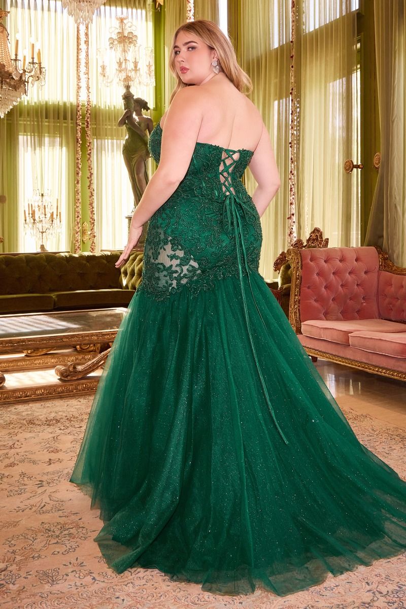 Plus-Size Strapless Long Lace Prom Dress DCS482C