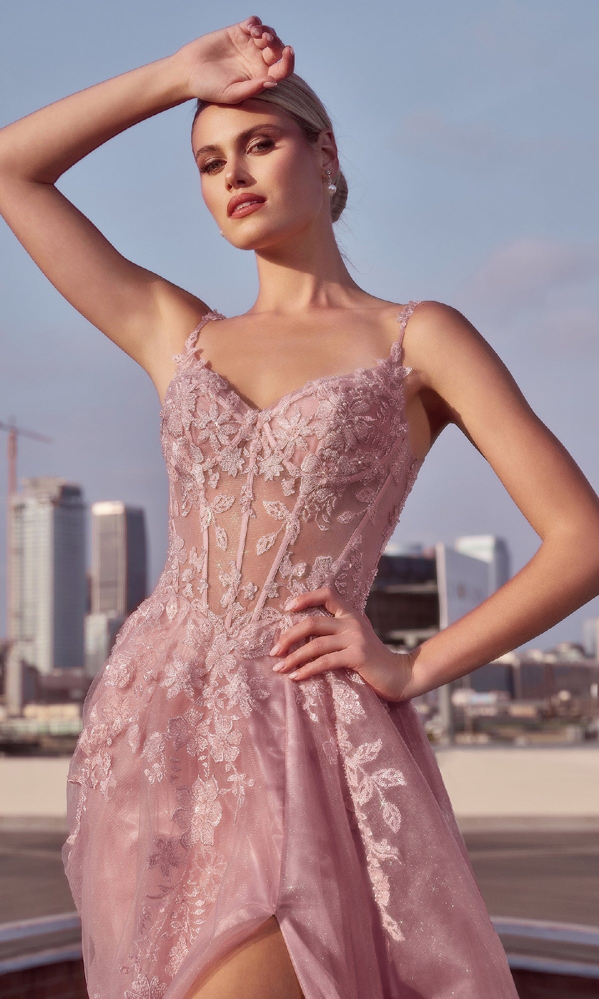 Mauve Pink Long Lace Prom Dress: Ladivine CDS533