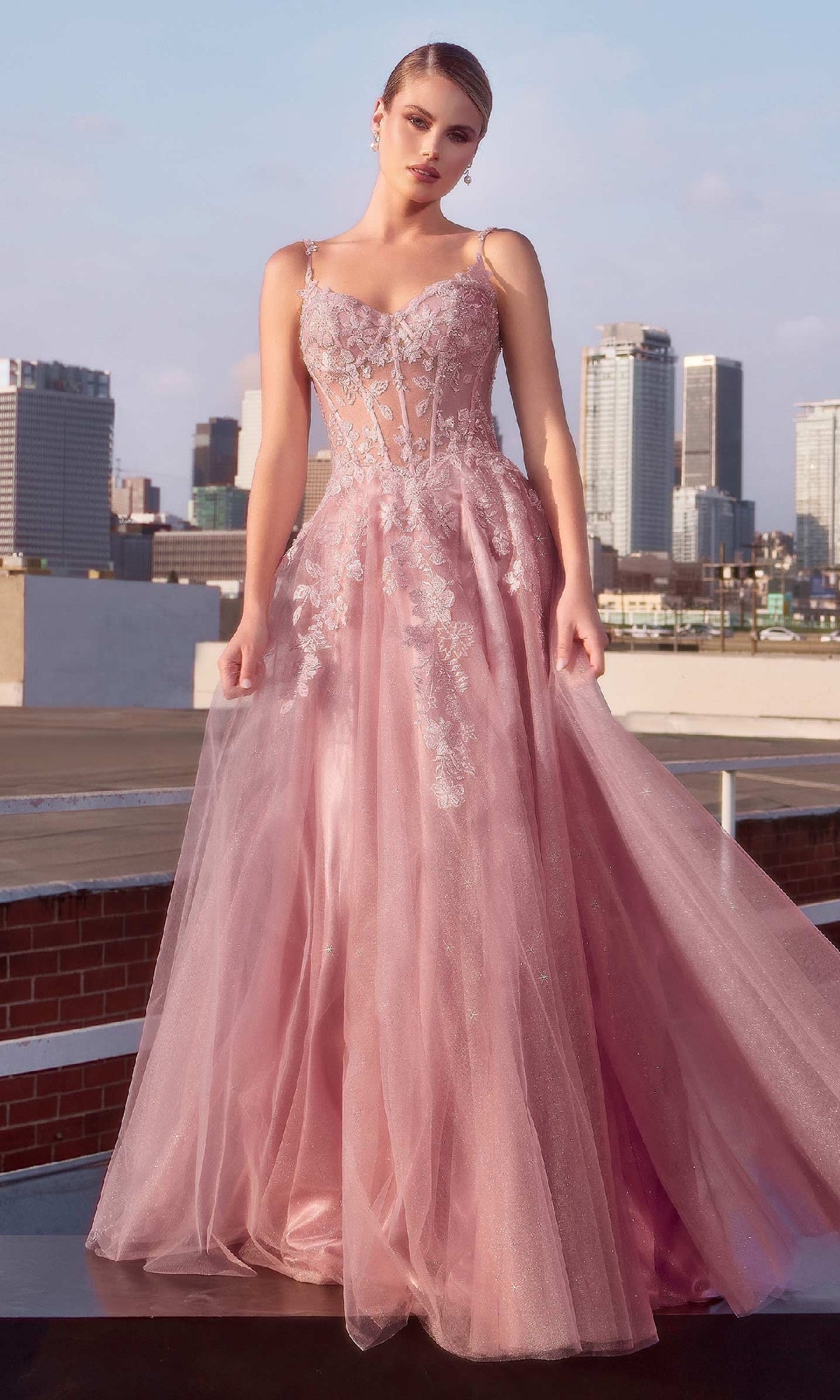 Mauve Pink Long Lace Prom Dress: Ladivine CDS533