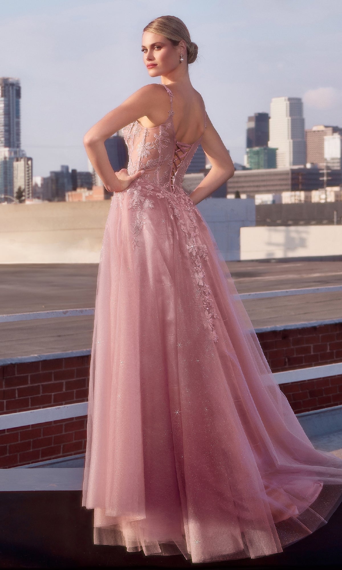 Mauve Pink Long Lace Prom Dress: Ladivine CDS533