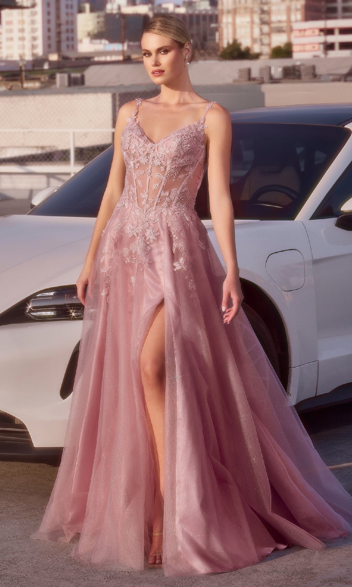 Mauve Pink Long Lace Prom Dress: Ladivine CDS533