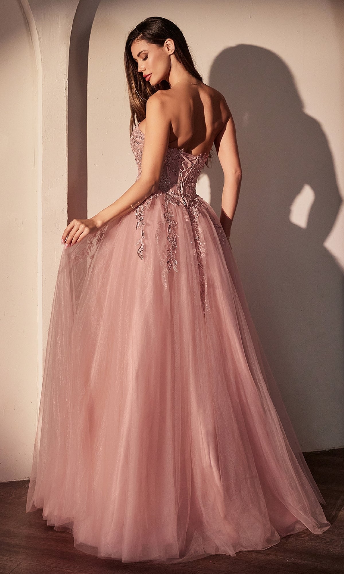 Long Prom Dress: Ladivine CDS536