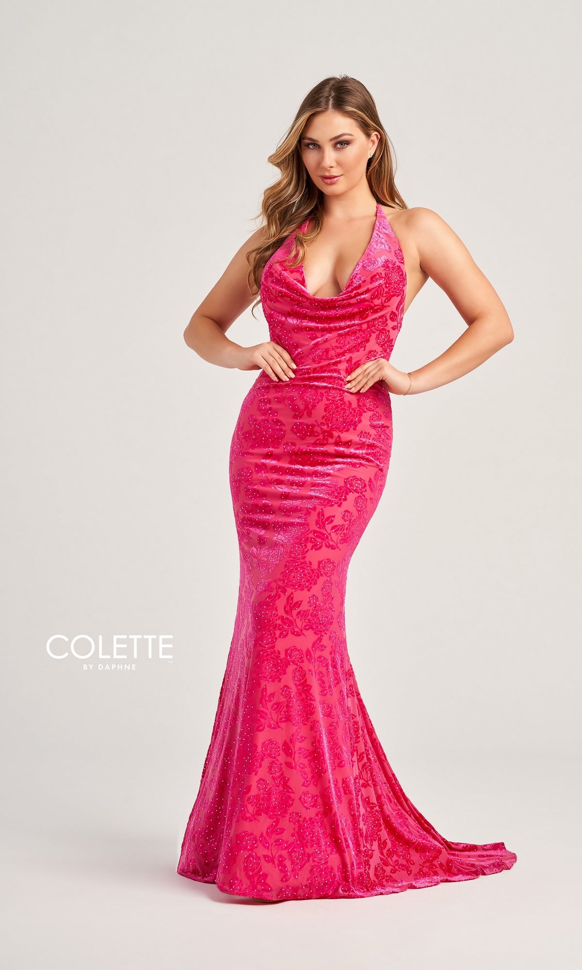 Colette Backless Long Designer Formal Dress CL5118