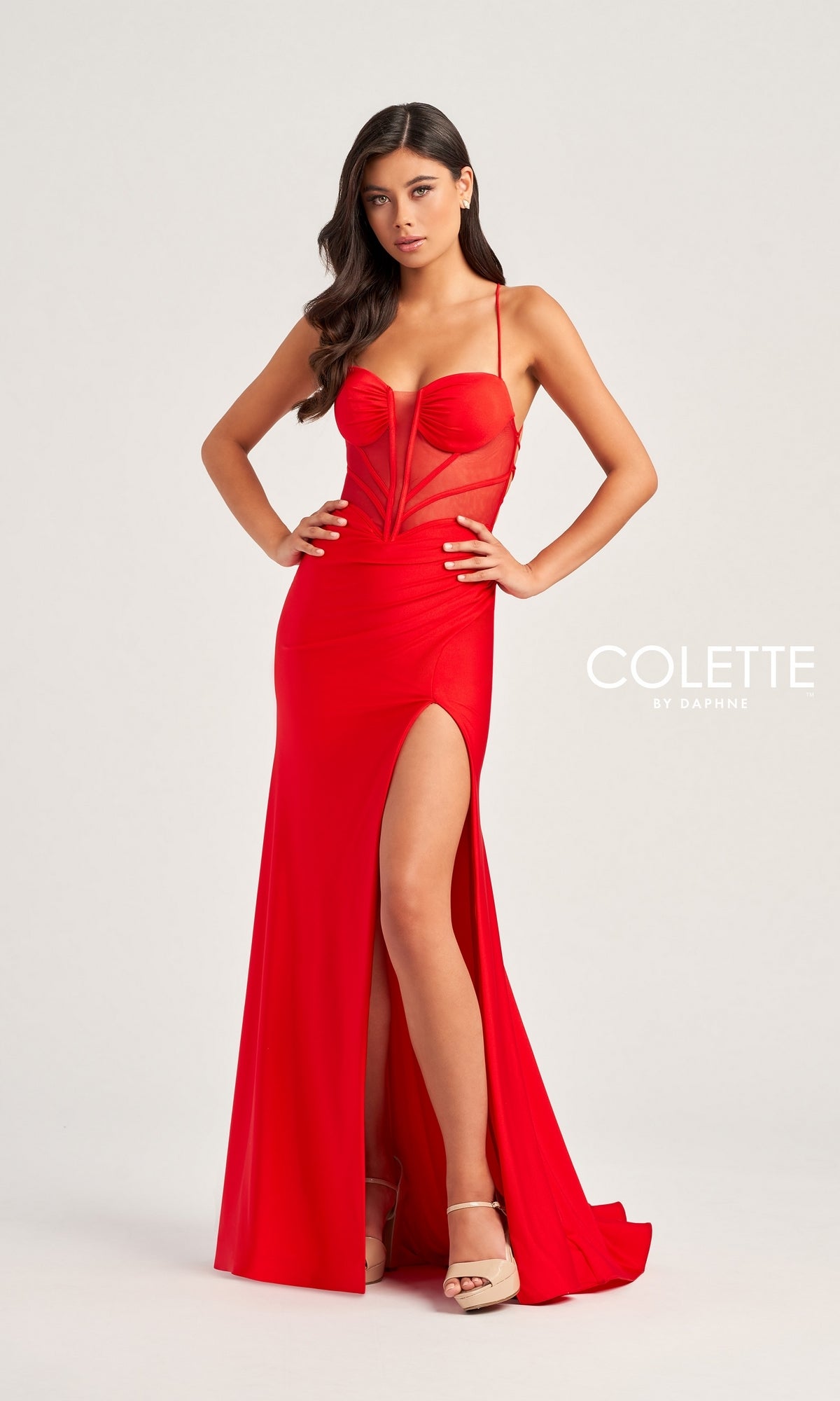 Backless Colette Long Designer Prom Dress CL5140