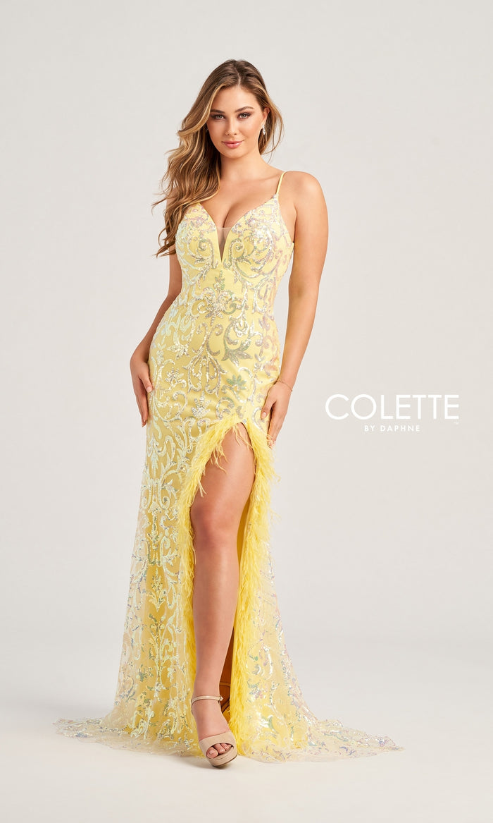 Feather-Sequin Colette Long Prom Dress CL5155