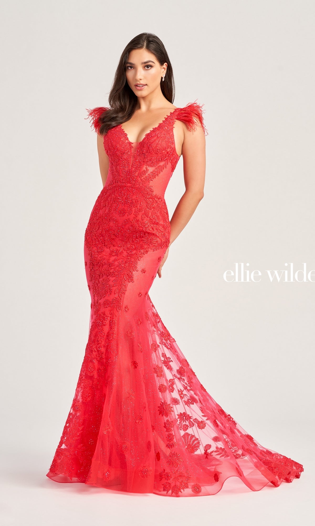 Ellie Wilde Feather-Sleeve Long Prom Dress EW35009
