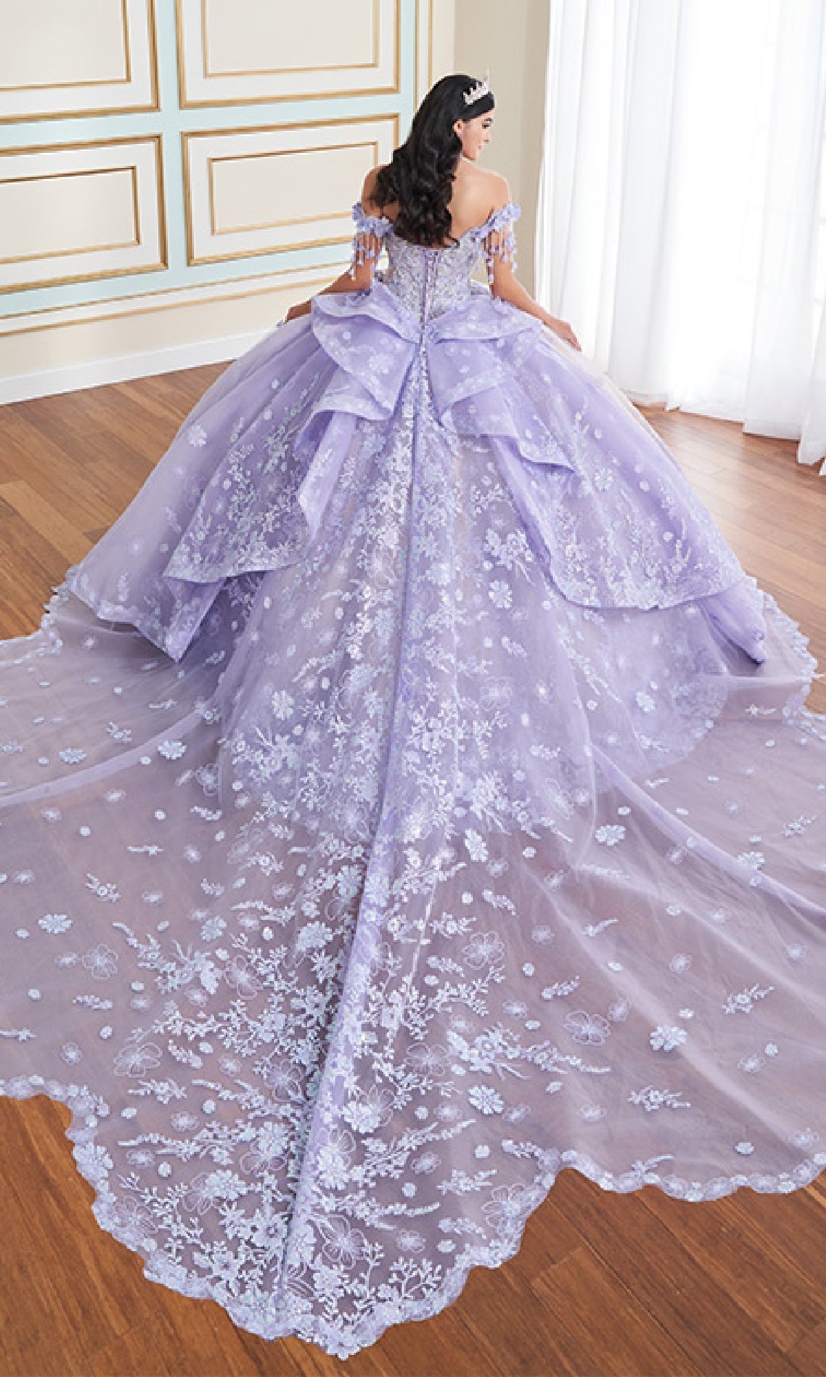 fitted lace wedding dress Sequin Pattern Ball Gown Tulle Sweetheart Quinceanera Dress main image 0