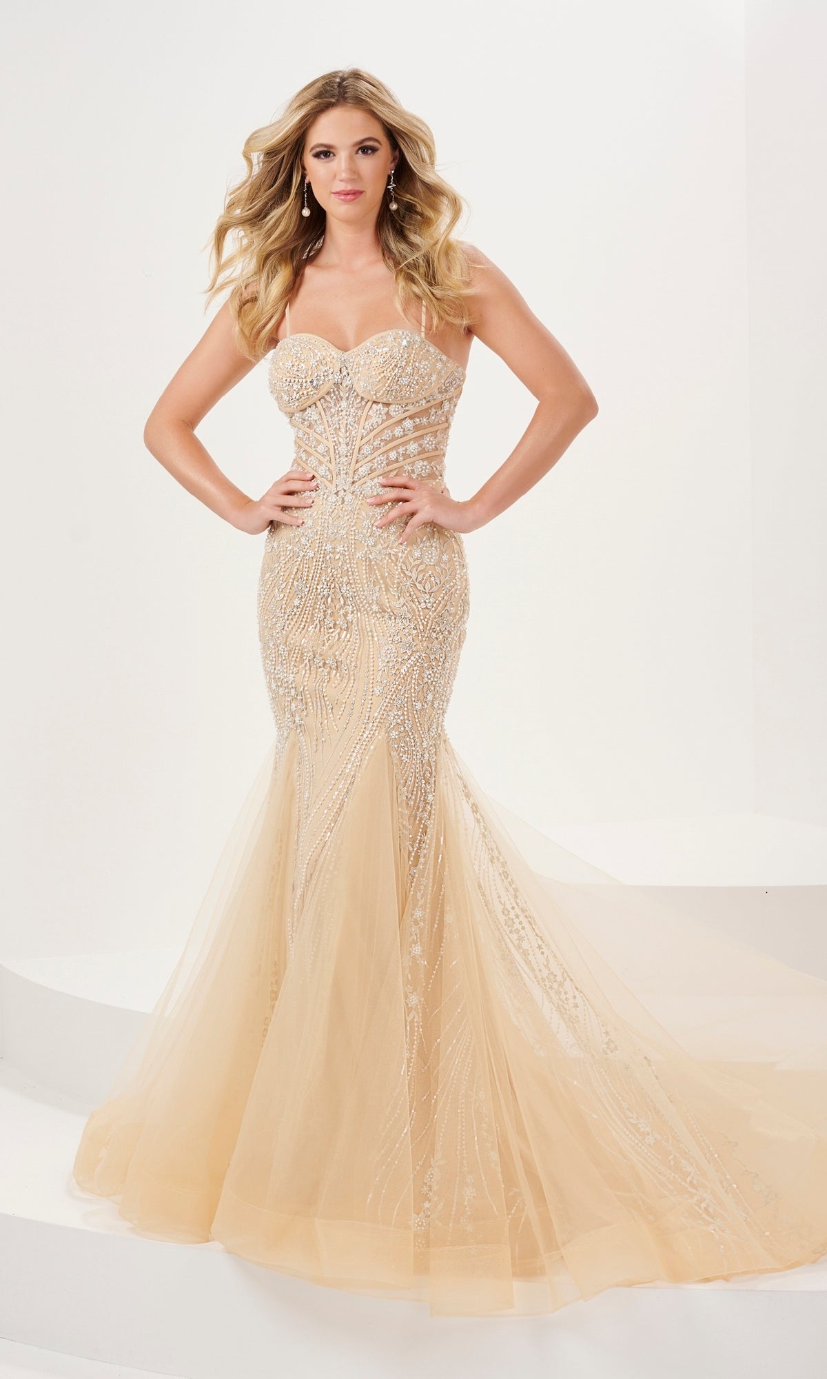 Long Prom Dress 14191 by Panoply