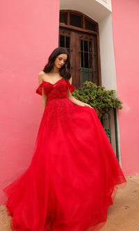 Off-the-Shoulder Long Tulle Prom Ball Gown R1303