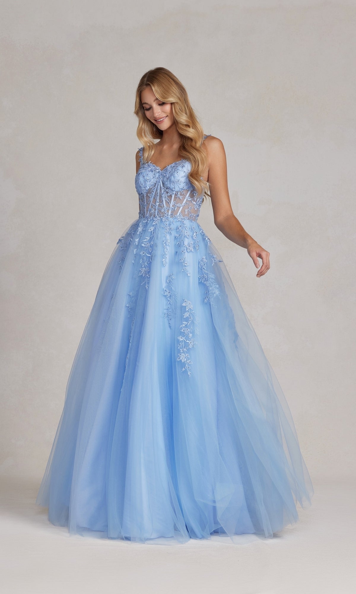 Sheer-Corset Steel Gray Ball Gown