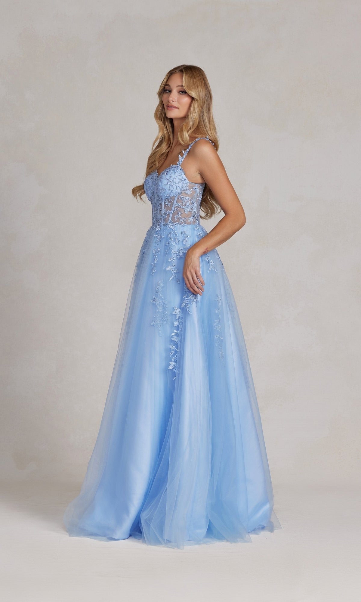 Sheer-Corset Steel Gray Ball Gown