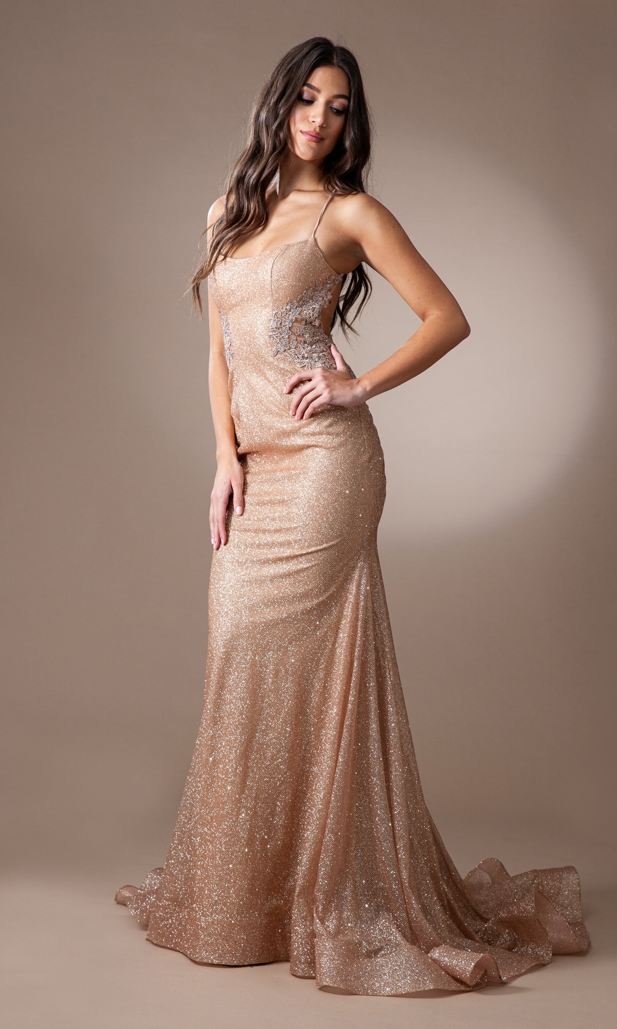 Lace-Sides Long Glitter Mermaid Prom Dress TM1014