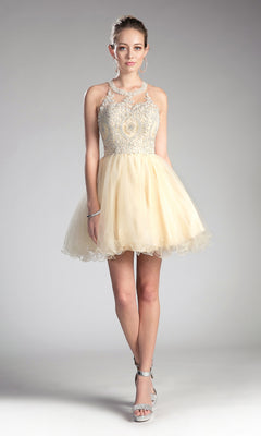 A young woman stands in the High-Neck Short Babydoll Homecoming Dress UJ0119 with an embroidered-lace bodice and tulle skirt, silver heels, and hoop earrings—a stylish, affordable cocktail dress for any occasion.