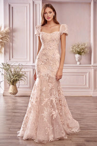 Long Pink Short-Sleeve Mermaid Prom Dress A1025