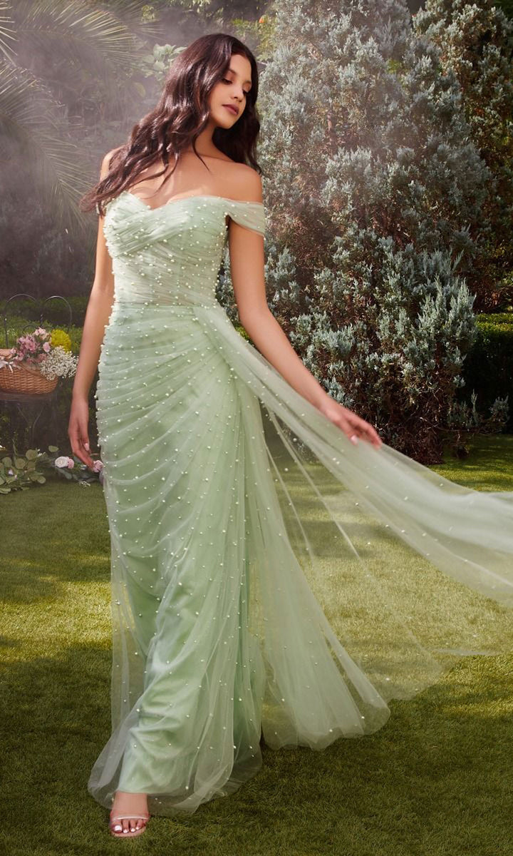 Long Pink Formal Dress with Pearls Sage / 10